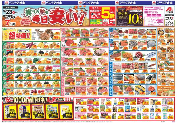 最新チラシnew-1