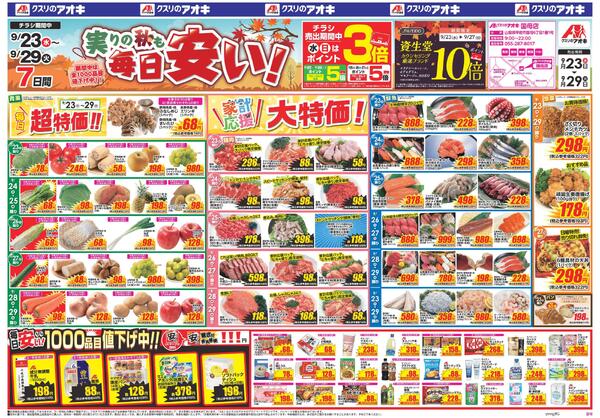 最新チラシnew-1