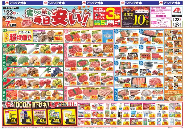最新チラシnew-1