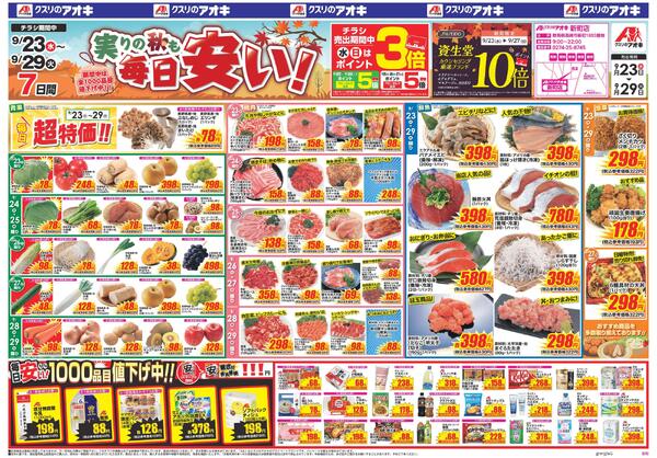 最新チラシnew-1