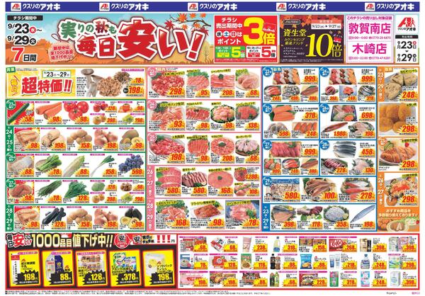 最新チラシnew-1