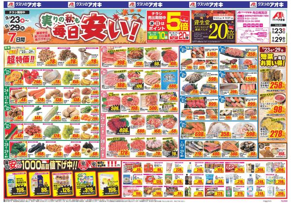 最新チラシnew-1