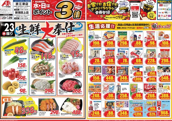 最新チラシnew-1