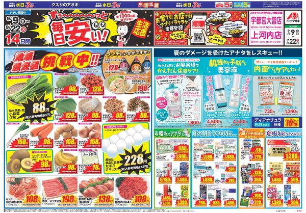最新チラシ-1