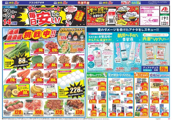 最新チラシ-1