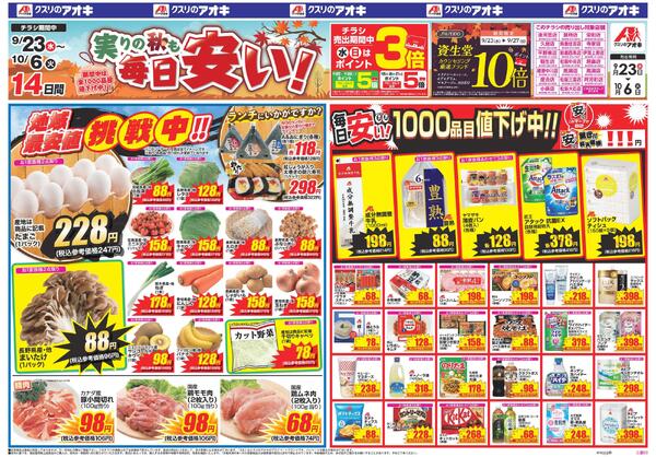 最新チラシnew-1