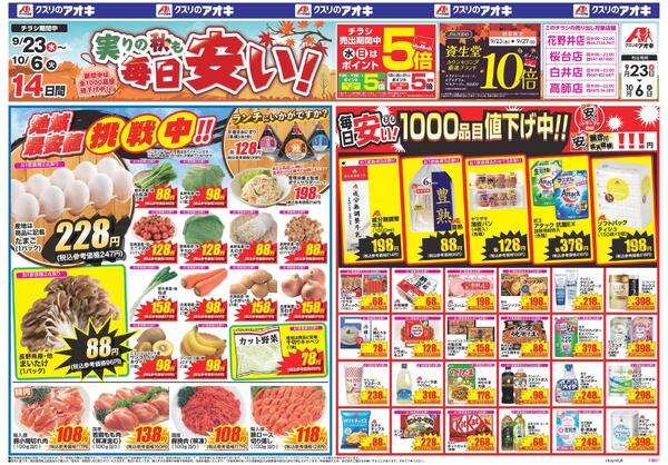 最新チラシnew-1