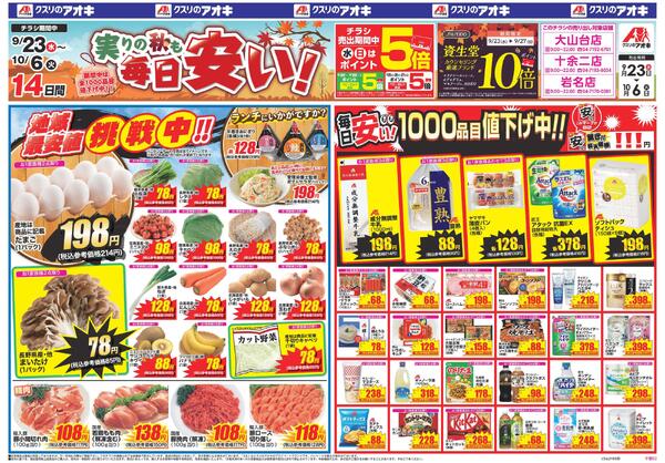 最新チラシnew-1
