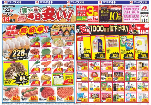 最新チラシnew-1