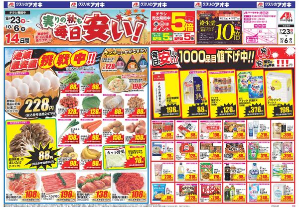 最新チラシnew-1