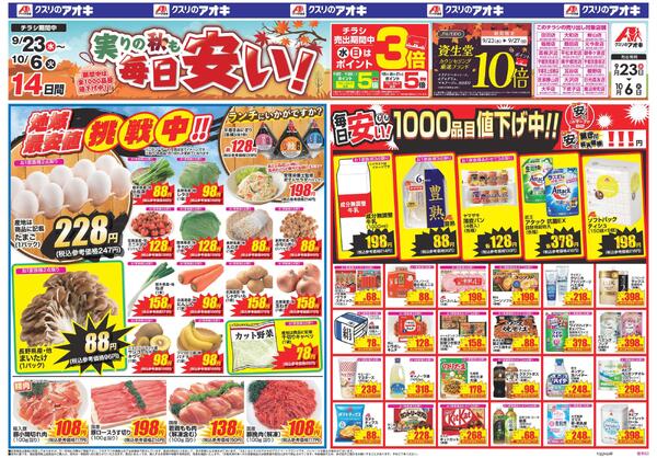 最新チラシnew-1