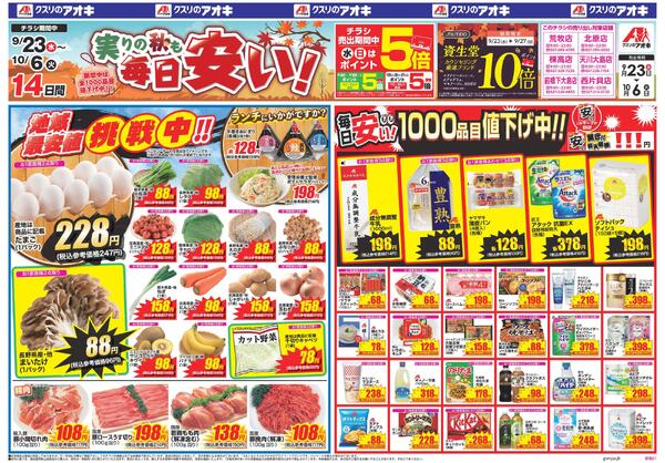 最新チラシnew-1