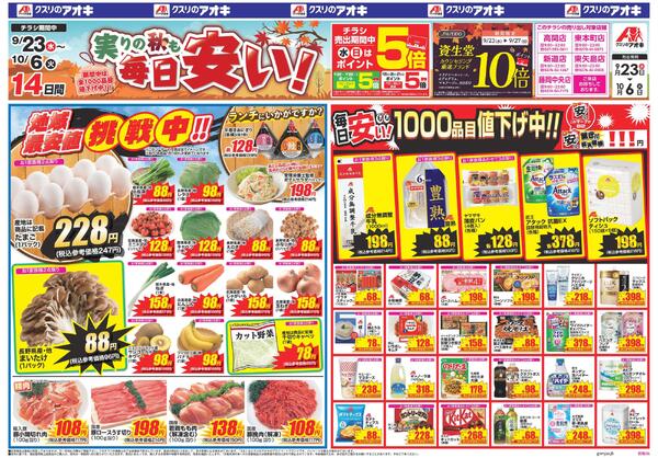 最新チラシnew-1