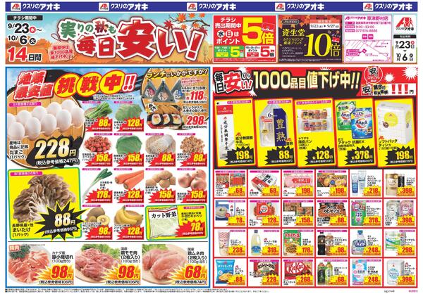 最新チラシnew-1