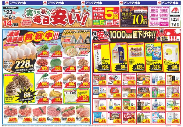 最新チラシnew-1