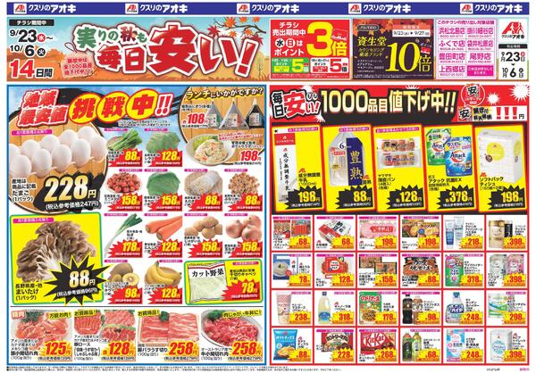 最新チラシnew-1
