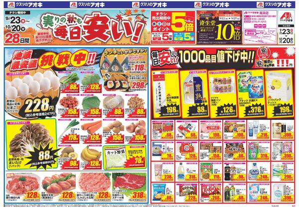 最新チラシnew-1