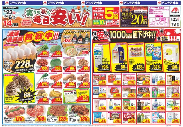 最新チラシnew-1