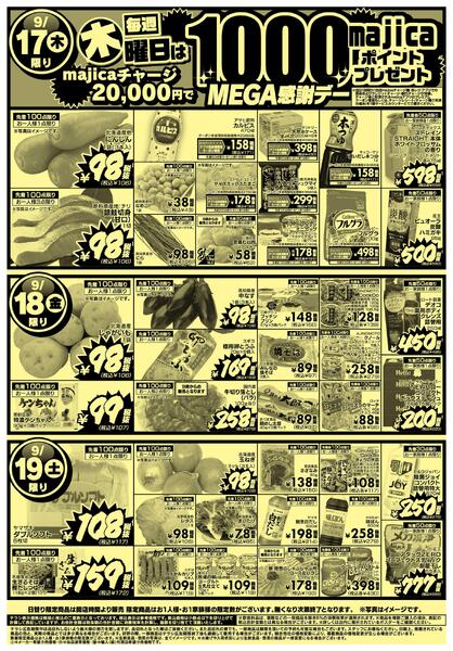 0913号 驚安の殿堂 MEGAドンキ 魚津店-2