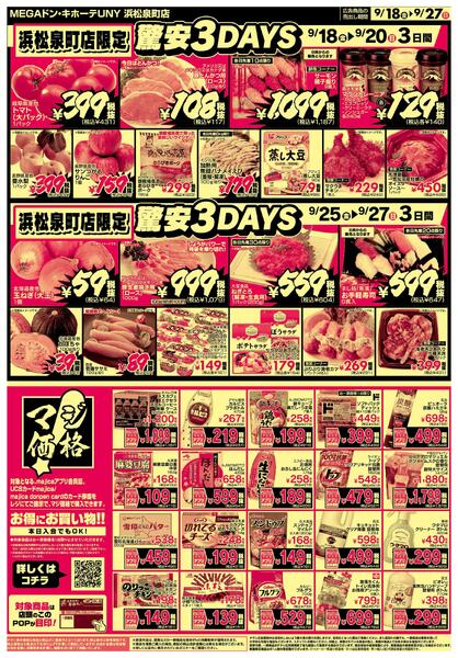 0918号 驚安といえばドンキ 浜松泉町店-2