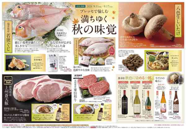 2026年9月11日〜17日まで-2