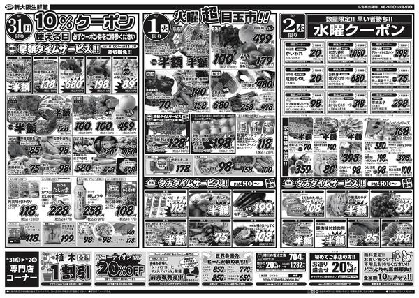 最新チラシ-2