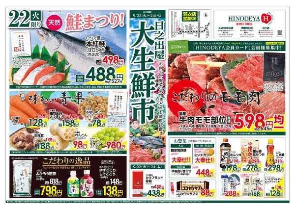 最新チラシnew-1