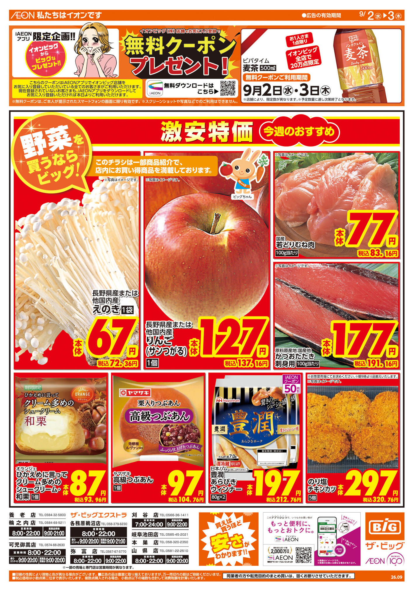 ザ・ビッグエクストラ刈谷店のチラシ｜最新の特売・セール情報【チラシ