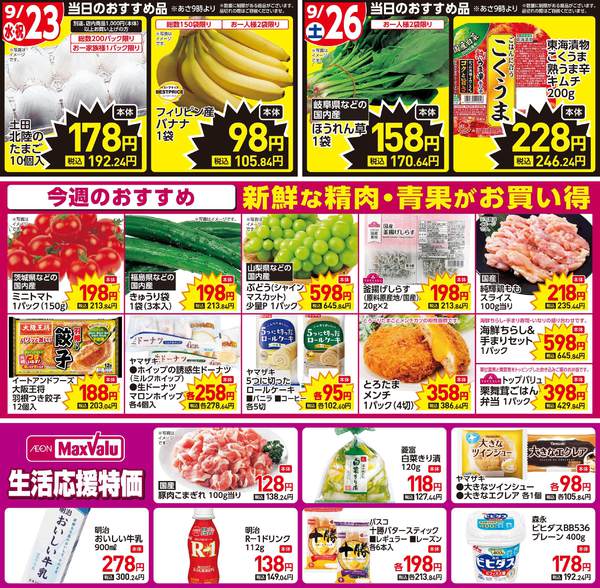 2026年9月23日〜27日まで今週のおすすめ♪new-1
