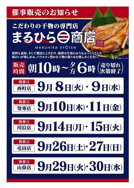 最新チラシ-2