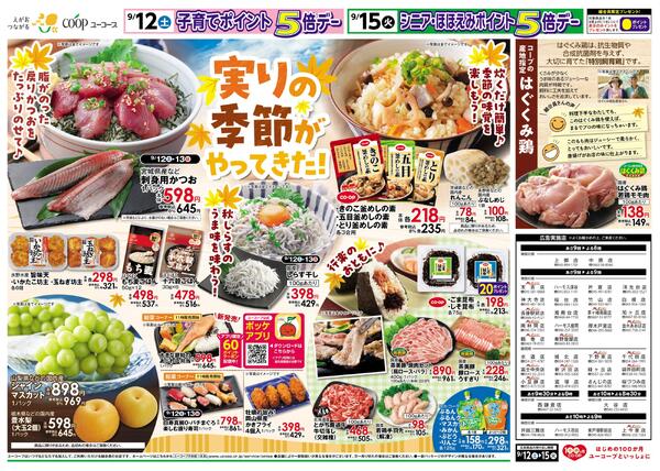 実りの季節がやってきた！　刺身用かつお　しらす干し　釜めしの素　コープの産地指定はぐくみ鶏　若鶏モモ肉　塩・砂糖10%引-2