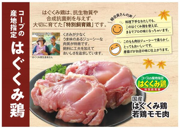 【もっと伝えたい！】はぐくみ鶏-1