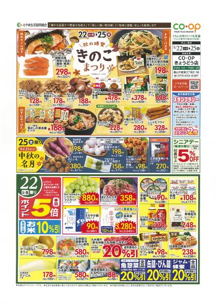 最新チラシ-1