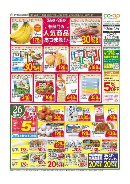 最新チラシnew-1