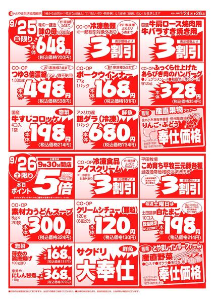 最新チラシnew-2