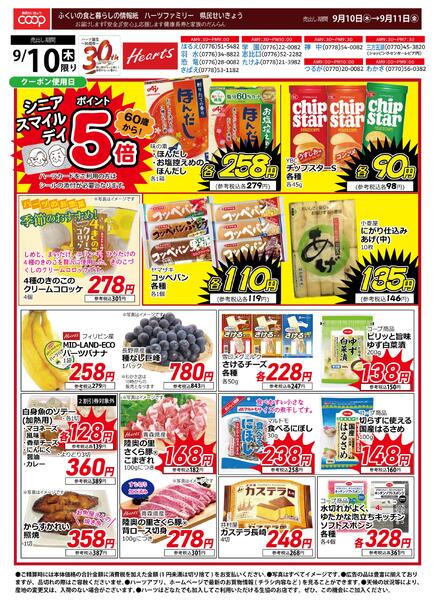 最新チラシ-1