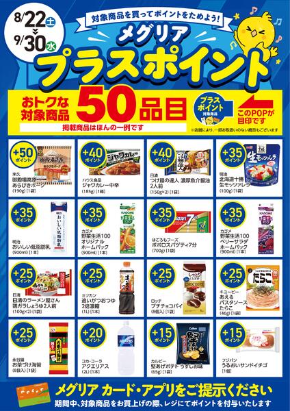 メグリアプラスポイント-1