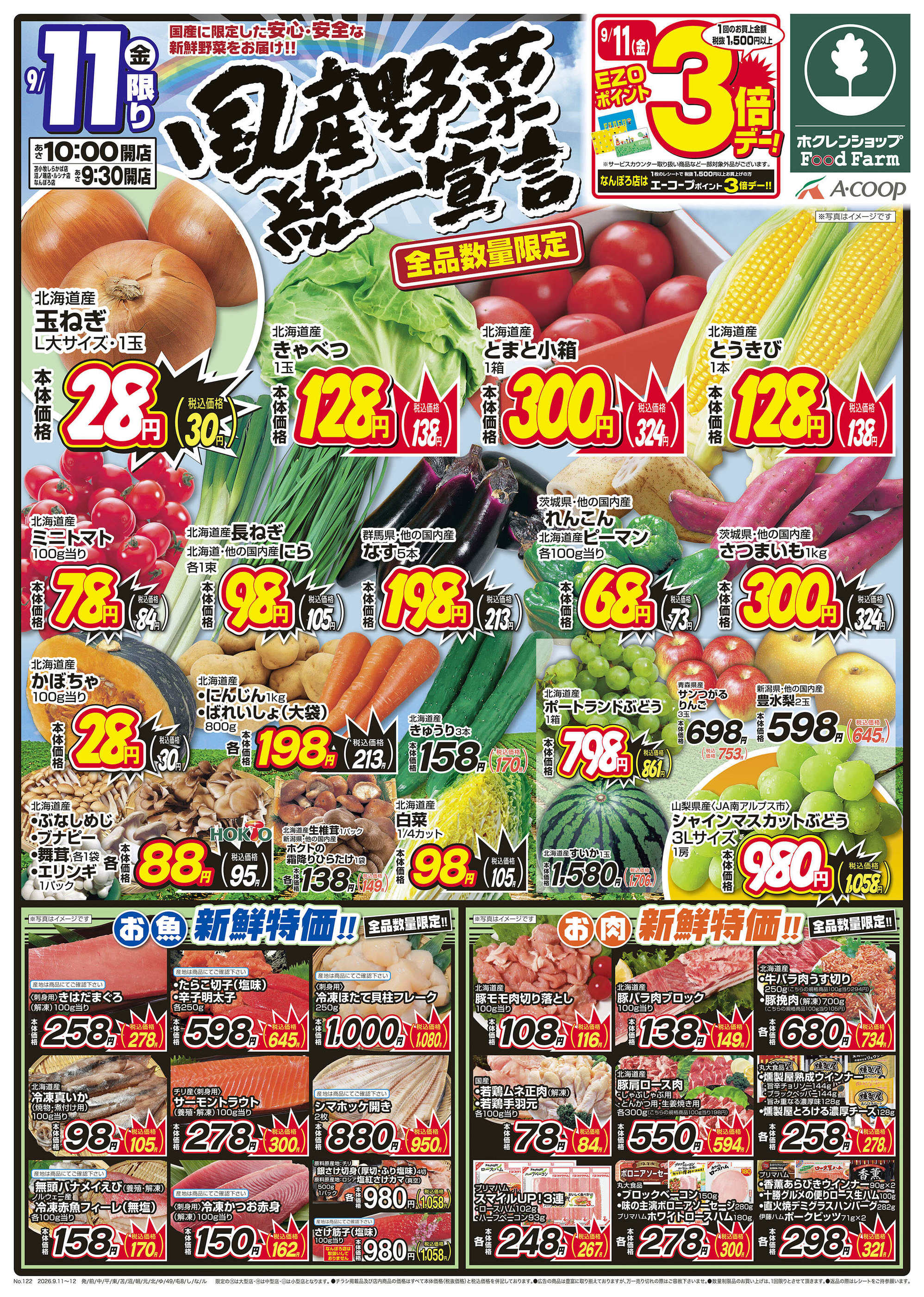 活動歴および当時の関連ビジュアル記録
