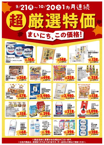 超厳選特価-1