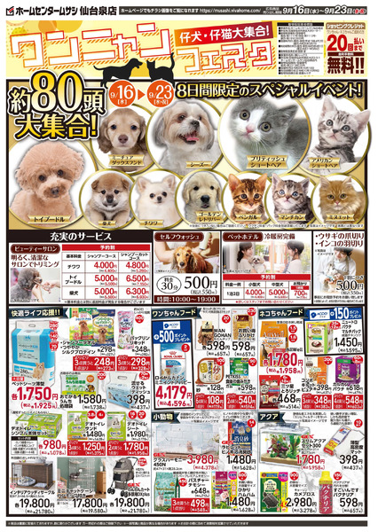 9月16日号チラシ面9月16日～9月23日-1