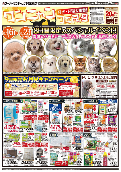 9月16日号チラシ面9月16日～9月23日-1