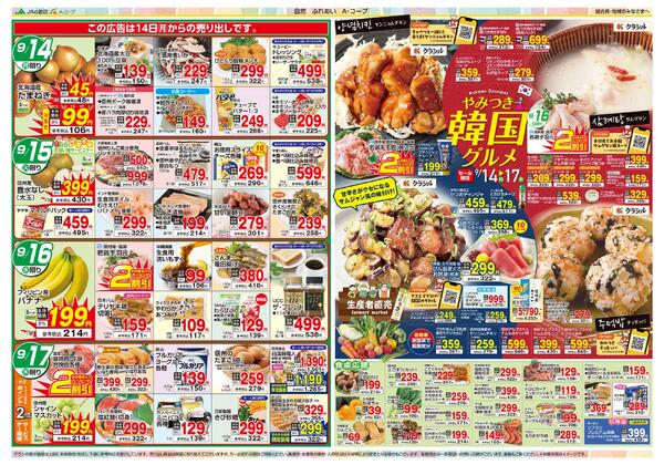 今週のチラシ情報-2