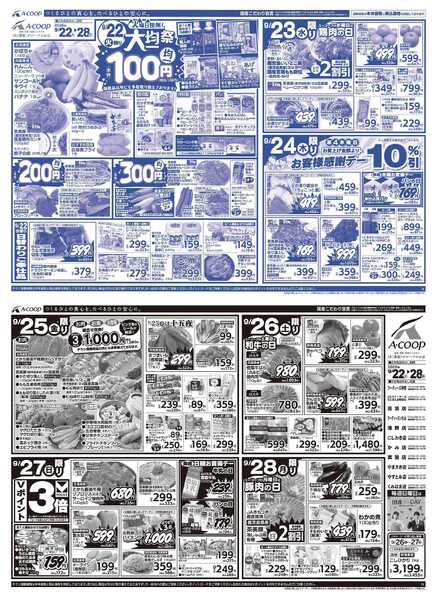 JA全農Aコープ 近畿・東海エリア 大均一祭企画-1