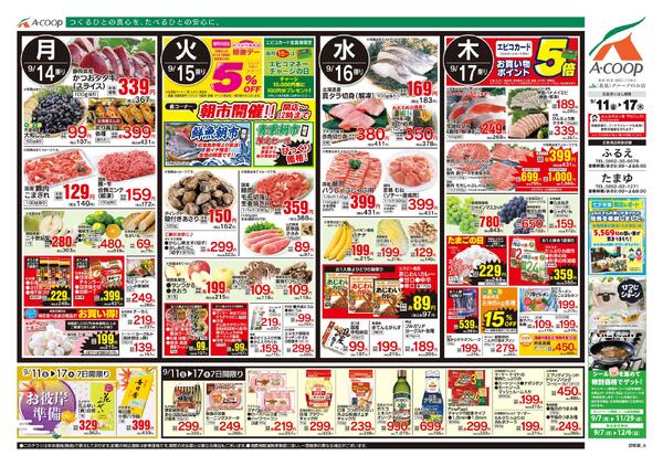 9月11日～9月17日-2