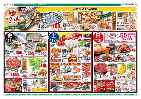 9月11日～9月17日-1