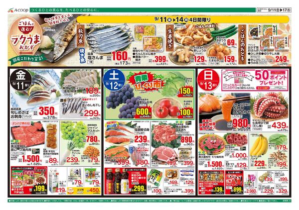 9月11日～9月17日-1