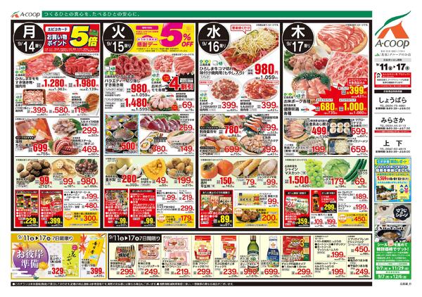 9月11日～9月17日-2