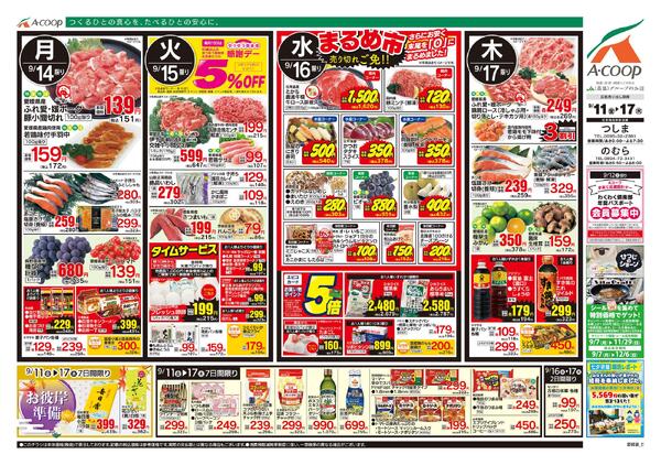 9月11日～9月17日-2