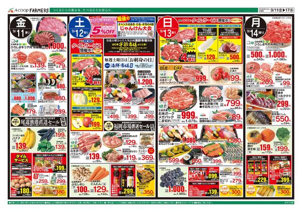 9月11日～9月17日-1