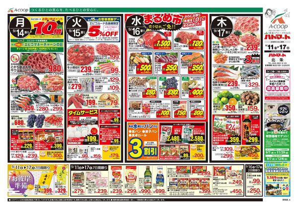 9月11日～9月17日-2